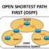 ospf