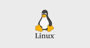 linux-article-image