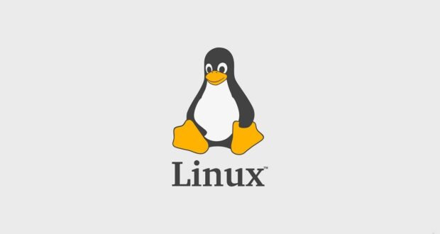 linux-article-image