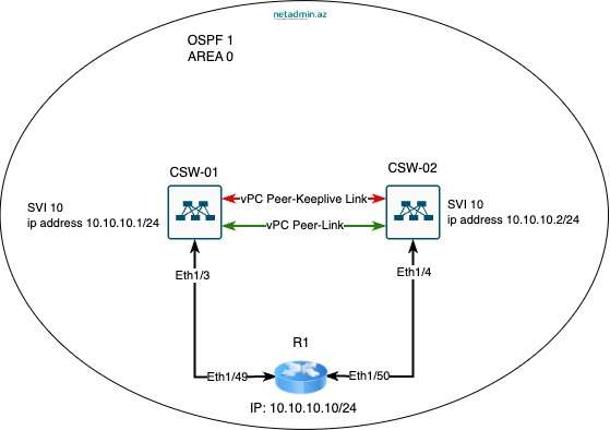 vpc-layer3-peer-router